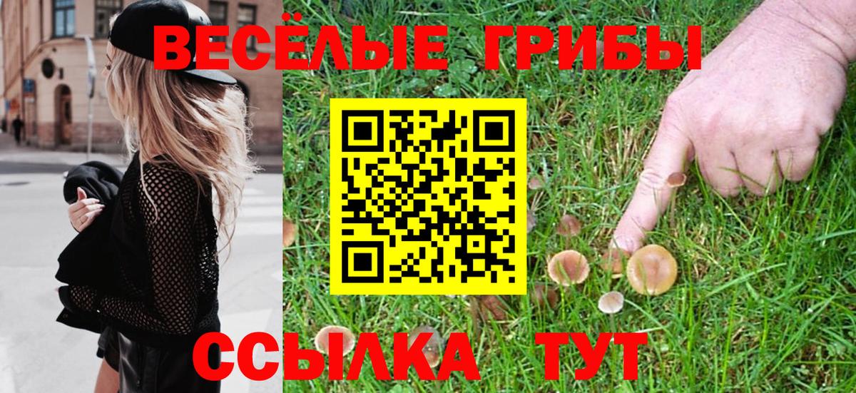 Псилоцибиновые грибы GOLDEN TEACHER  Вход с VPN  цены   Красногорск 