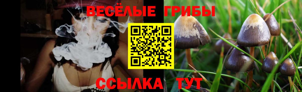 Псилоцибиновые грибы мухоморы Красногорск