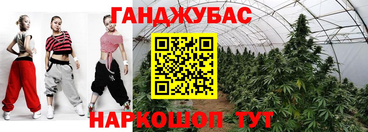 Шишки марихуана сатива Красногорск